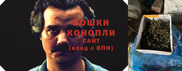 PSILOCYBIN Балабаново