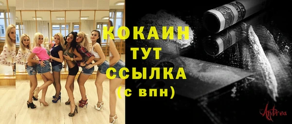 PSILOCYBIN Балабаново