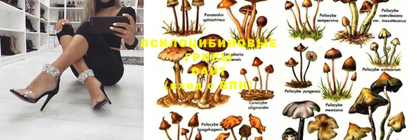 мяу мяу мука Балахна