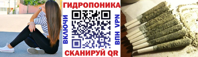 как найти закладки  Гремячинск  Каннабис марихуана 
